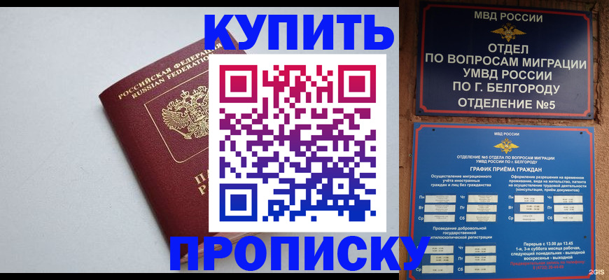прописка регистрация в Сочи